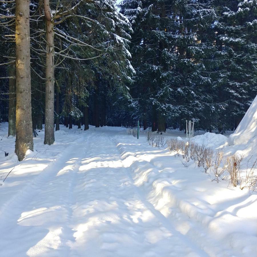 Wanderhuette Zum Bernhardsthal 빌라 외부 사진